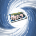 Joey Card